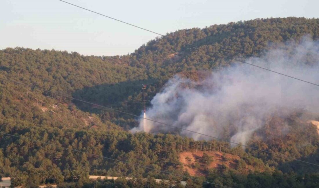 Bolu'nun Göynük ilçesindeki ormanlık alanda çıkan yangına 160 personel ve