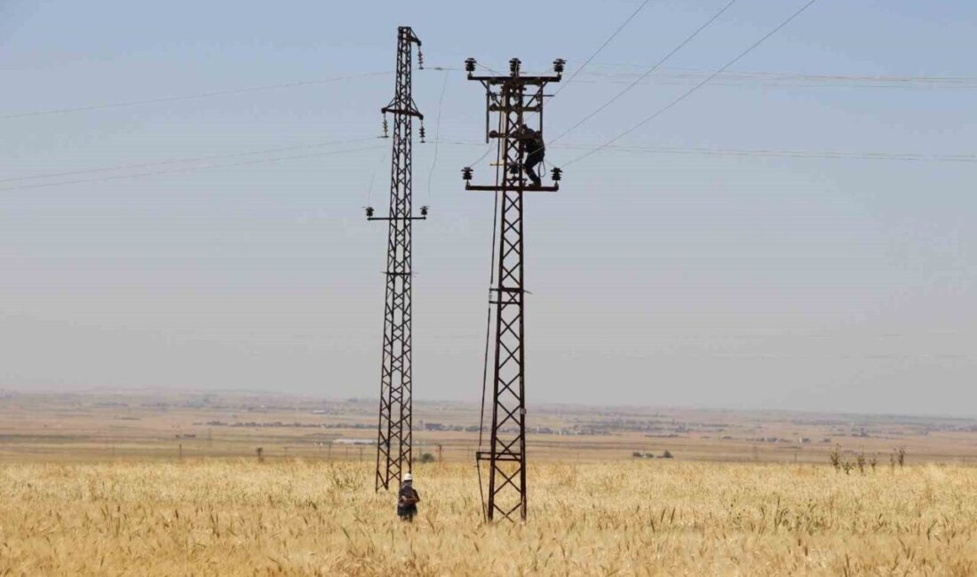 Dicle Elektrik, Mardin'deki tarımsal sulama abonelerinin ödenmeyen milyarlarca TL borcu