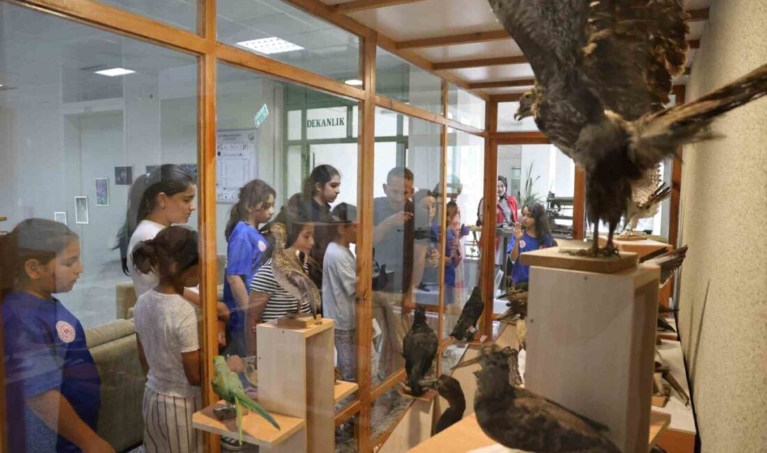 Düzce Gençlik Merkezi Yaz Kulübü öğrencileri, Düzce Üniversitesi'nin Botanik Bahçesi
