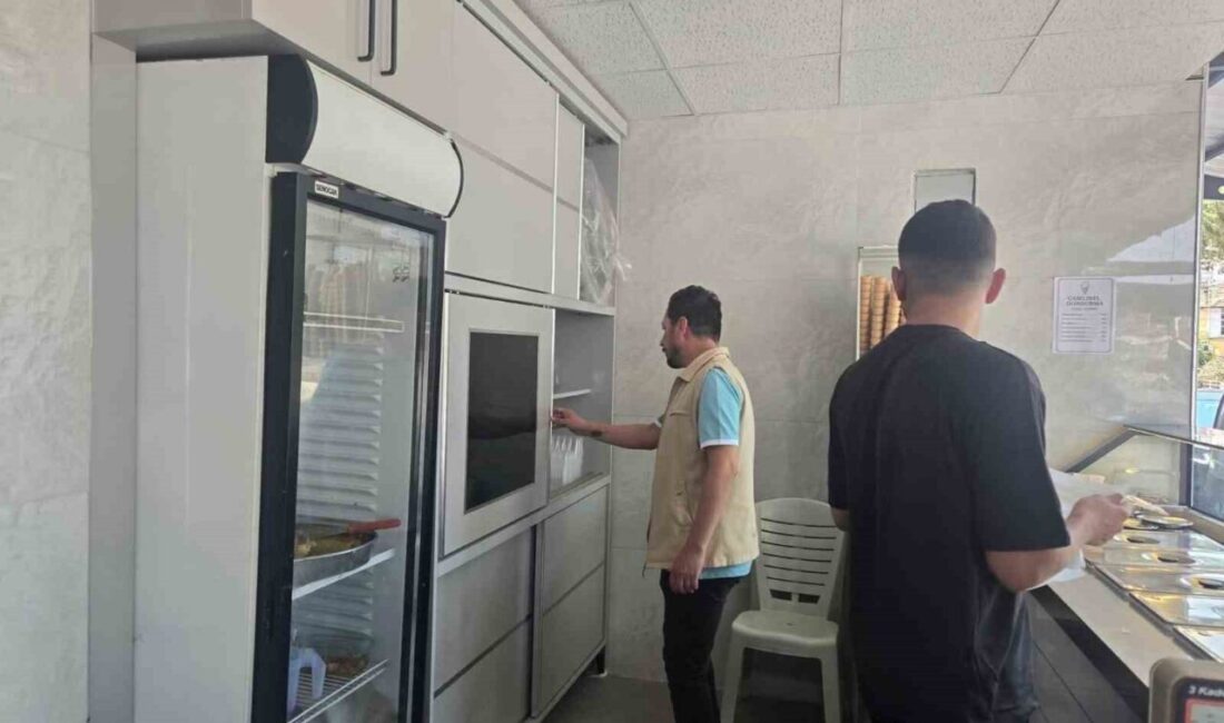 Bozdoğan'da İl Tarım ve Orman Müdürlüğü, dondurma ve tatlı satış