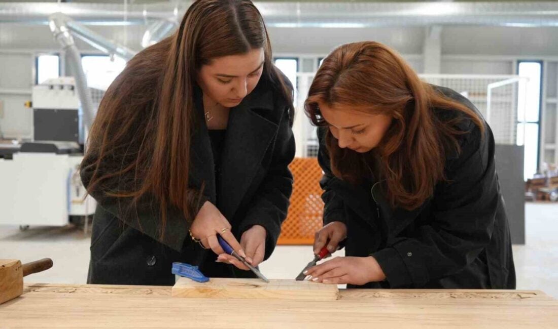 Kastamonu Üniversitesi'ne bağlı Ahşap Kültürünü Uygulama ve Araştırma Merkezi, ahşap