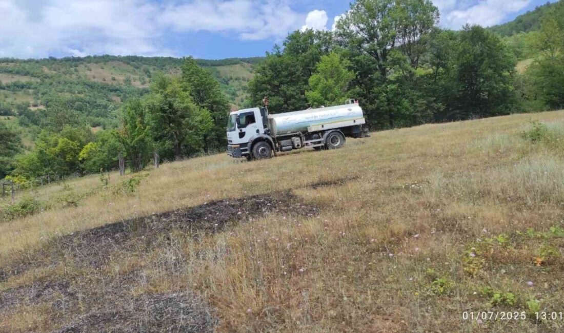 Bartın'ın Ulus ilçesinde bulunan bir buğday tarlasında çıkan yangın, köylülerin