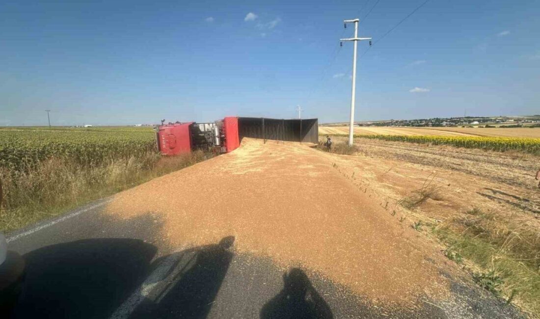 Tekirdağ'ın Muratlı ilçesinde E.Y. adlı sürücünün kullandığı buğday yüklü kamyon
