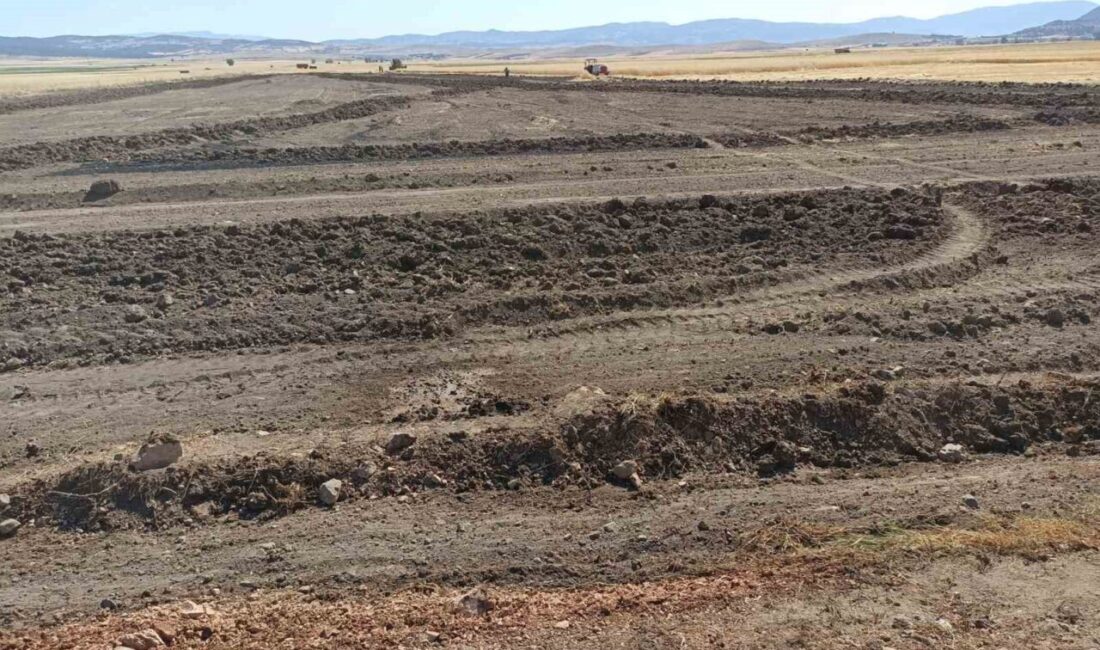 Burdur'un Yeşilova ilçesi Büyükyaka köyünde çıkan arazi yangını, köylülerin 25