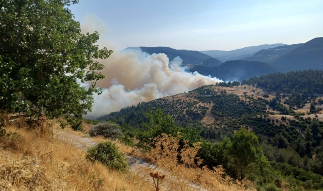 Bursa ile Balıkesir sınırında, Bayıryüzügüney Mahallesi'nde çıkan orman yangınına hem