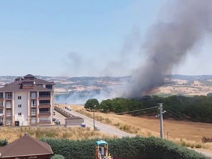 Bursa'nın İnegöl ilçesinde, Cumhuriyet Mahallesi'ndeki buğday tarlasında çıkan anız yangını,
