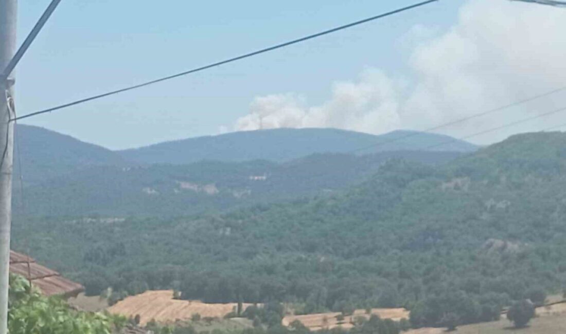 Bursa'nın Mustafakemalpaşa ilçesindeki Alacaat Mahallesi'nde bir orman yangını başladı. Olay