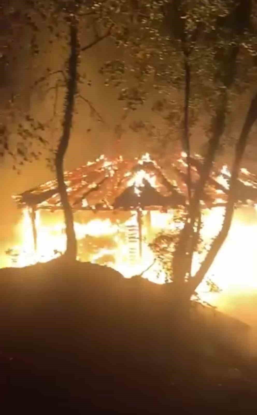 Bursa'nın Hamamlıkızık bölgesinde, piknikçilerin söndürmeden bıraktığı ateş ormanda yangına neden