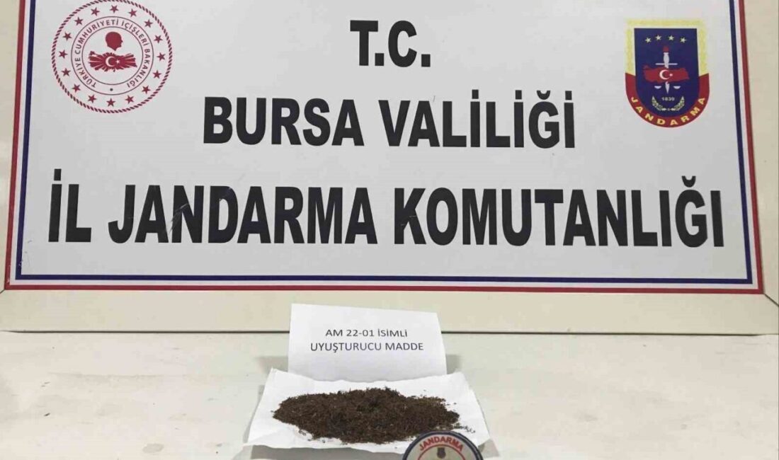 Bursa'nın İnegöl ilçesinde Jandarma ekipleri, devriye sırasında şüpheli Berkay U.’yu