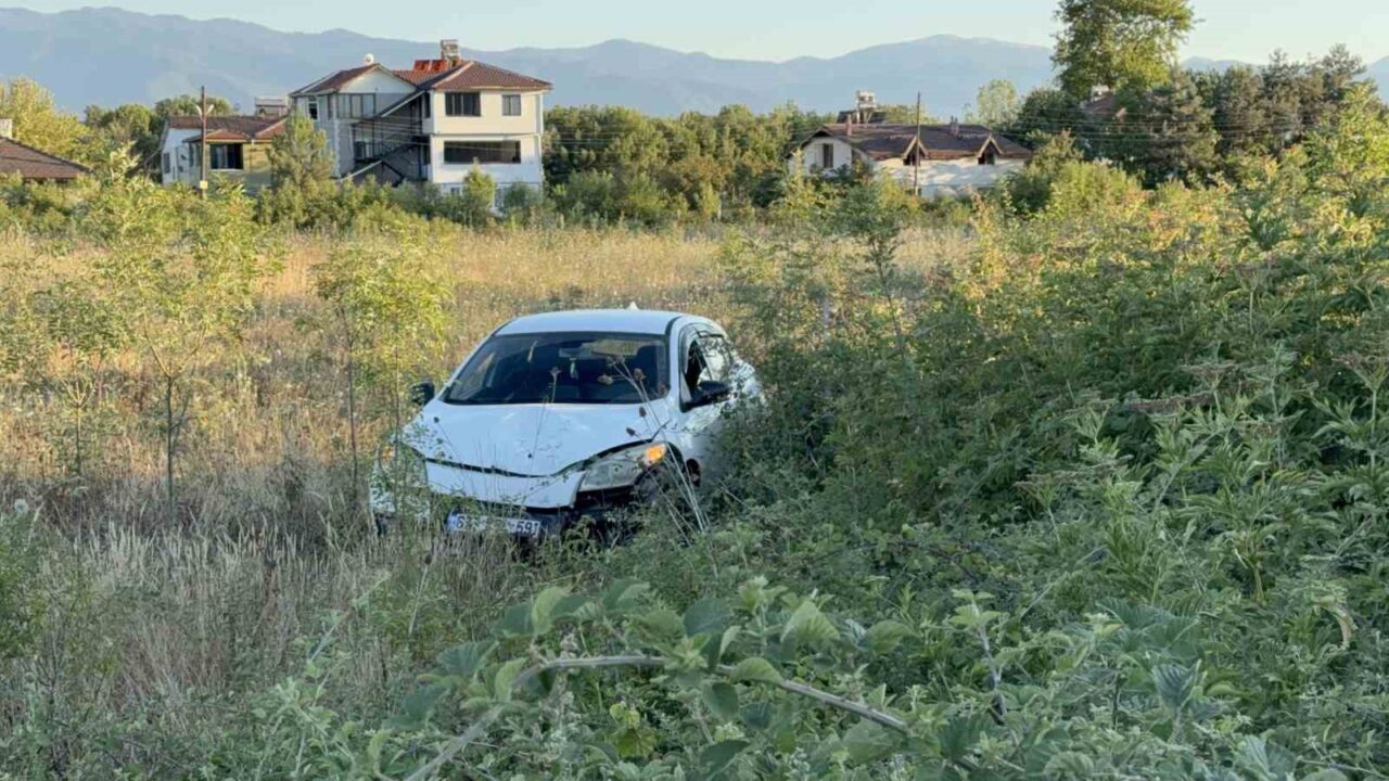 Düzce'de Berna Dursun'un kullandığı otomobil, yol üzerindeki büyükbaş hayvana çarpmamak