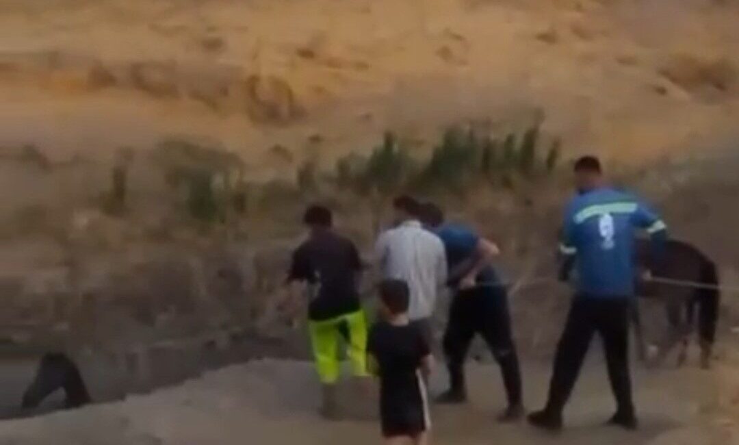 Siirt'in Kurtalan ilçesinde, Demirkuyu köyünde çamura saplanan bir at, köylülerin
