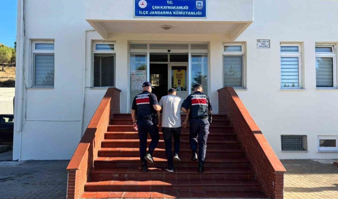 Çanakkale'nin Çan ilçesindeki Dondurma köyü yakınında bir tarım alanında çıkan