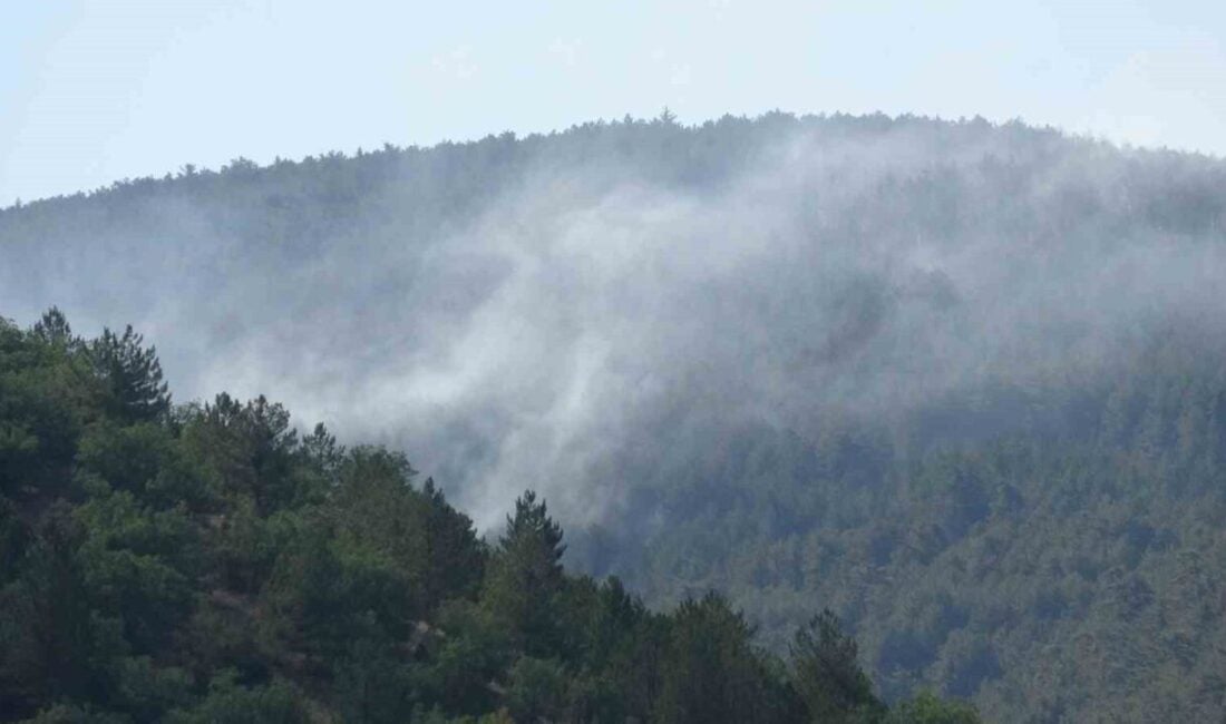 Çankırı'nın Ilgaz ilçesinde çıkan orman yangını, rüzgarın etkisiyle hızla yayıldı