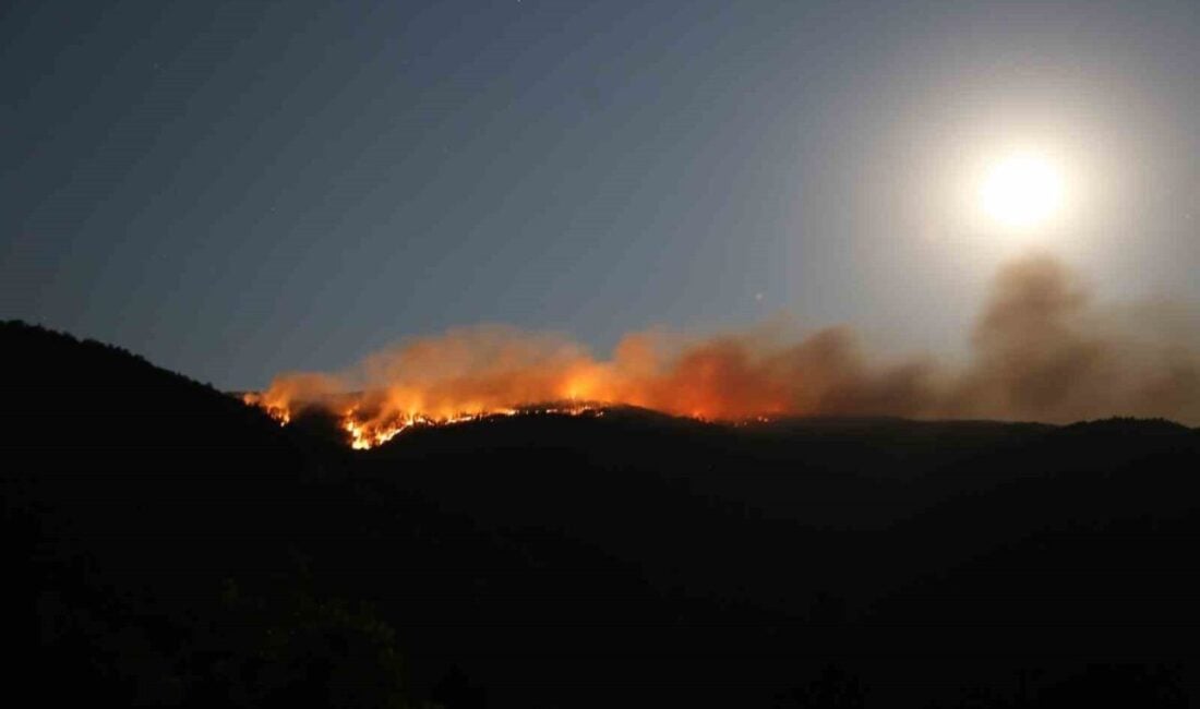Çankırı'nın Ilgaz ilçesindeki orman yangınında, 10 Temmuz'da çıkan yangın nedeniyle