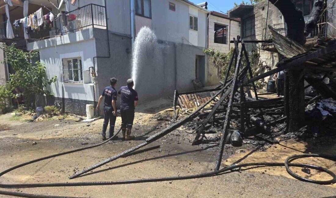Adana'nın Kozan ilçesinde, Çanaklı Mahallesi'nde bir evin bahçesindeki çardakta çıkan
