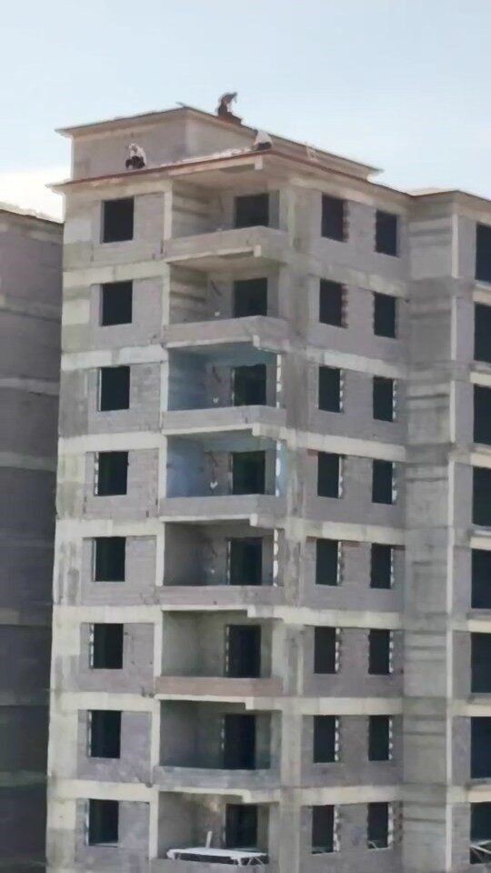 Elazığ'ın Çaydaçıra Mahallesi'nde inşaat halindeki bir binanın çatısında çalışan işçiler,