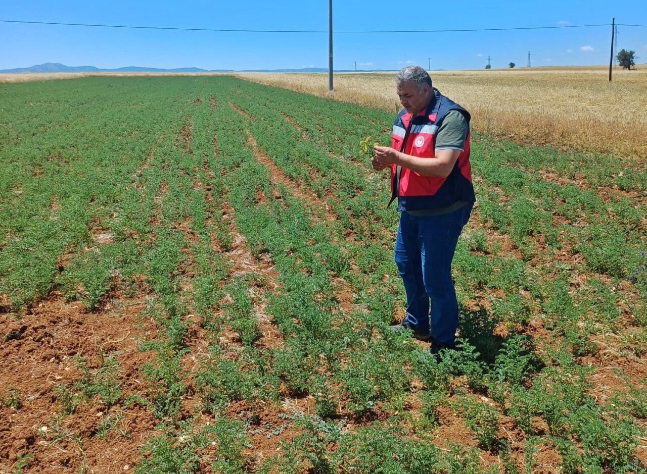 Çavdarhisar İlçe Tarım ve Orman Müdürlüğü, Tarım Arazilerinin Kullanımının Etkinleştirilmesi