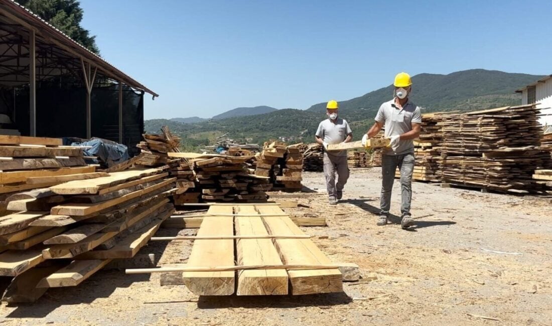 ÇAYBEL, Çaycuma'da seri üretimle sokak hayvanları için bin adet ahşap