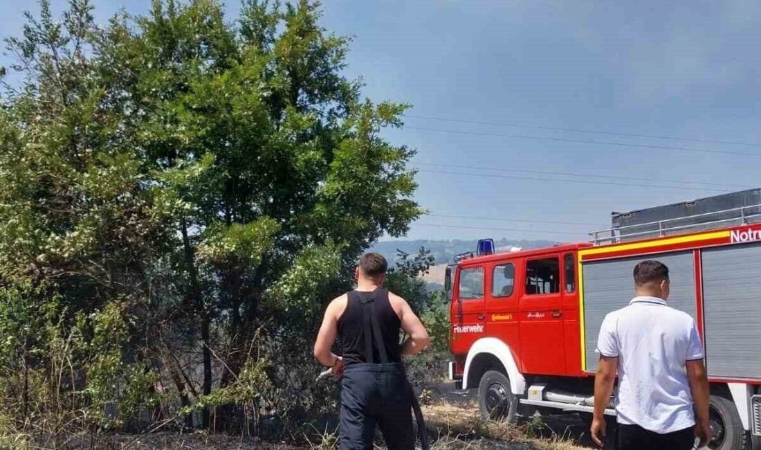 Zonguldak’ın Çaycuma ilçesindeki Dereköseler Köyü'nde çıkan orman yangını paniğe neden