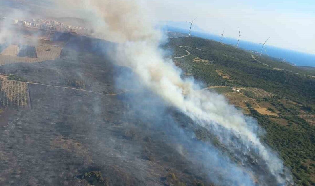 İzmir'in Çeşme ve Ödemiş ilçelerinde devam eden yangınlar için havadan