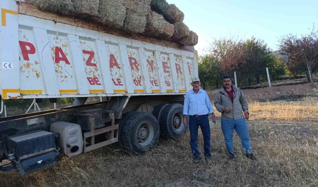 Bilecik'in Gölpazarı ilçesindeki orman yangını sonrası, Pazaryeri Belediye Başkanı Zekiye
