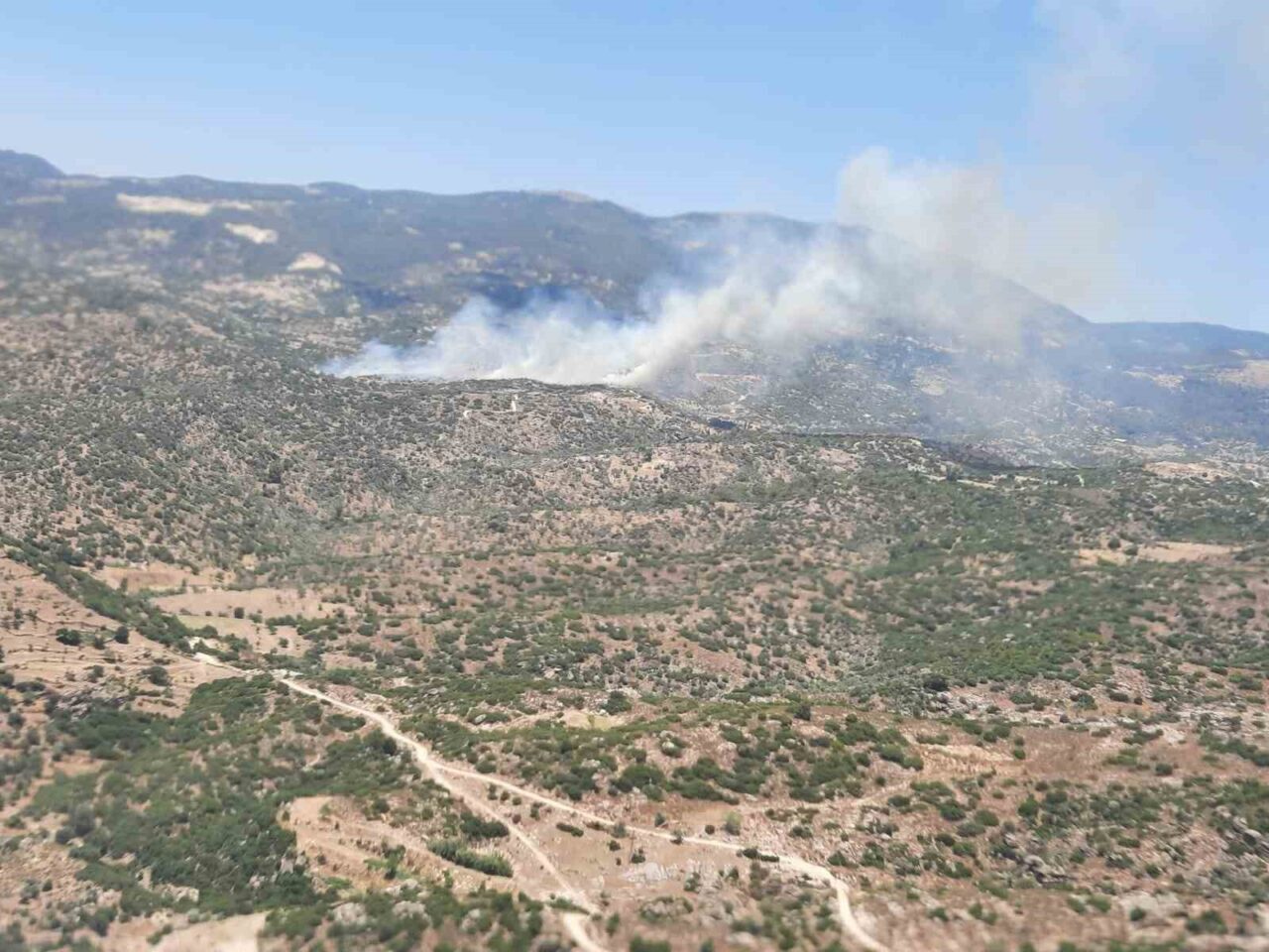 Aydın’ın Çine ilçesinde zeytinlik alanda çıkan yangın, Kırsakallar Mahallesi'nde rüzgarın