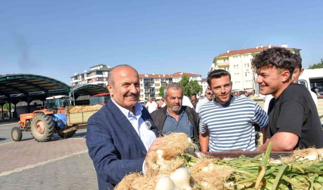 Kastamonu'nun Taşköprü ilçesinde, coğrafi işaretli Taşköprü sarımsağının hasadı için yeni