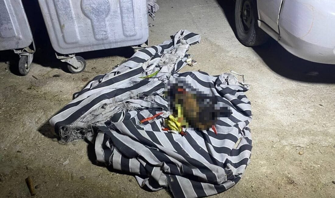 Antalya'nın Serik ilçesinde bir çöp konteynerinde çıkan yangında, vatandaşlar yangını