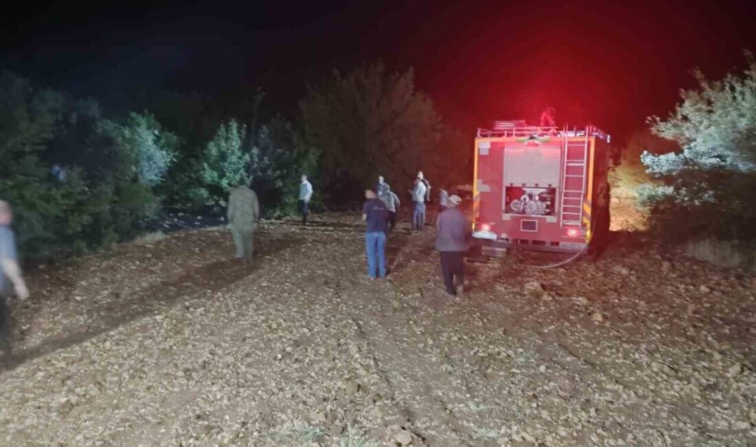 Adıyaman Besni'deki Tetirli Köyü'nde çıkan çöp yangını, rüzgarın etkisiyle ormanlık