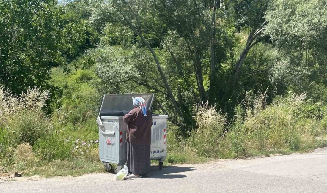 Sinop'ta yaşayan Asiye Köstek, 14 yıldır çöpten topladığı yemek artıklarıyla