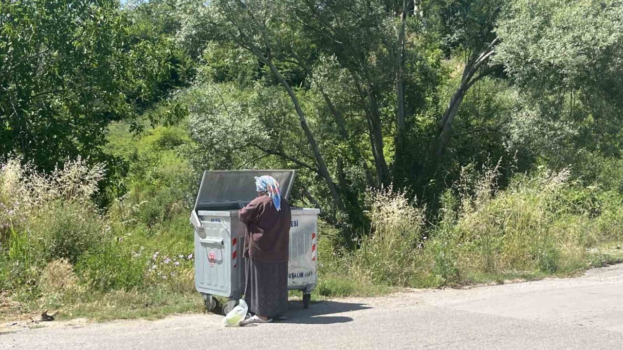 Sinop'ta yaşayan Asiye Köstek, 14 yıldır çöpten topladığı yemek artıklarıyla