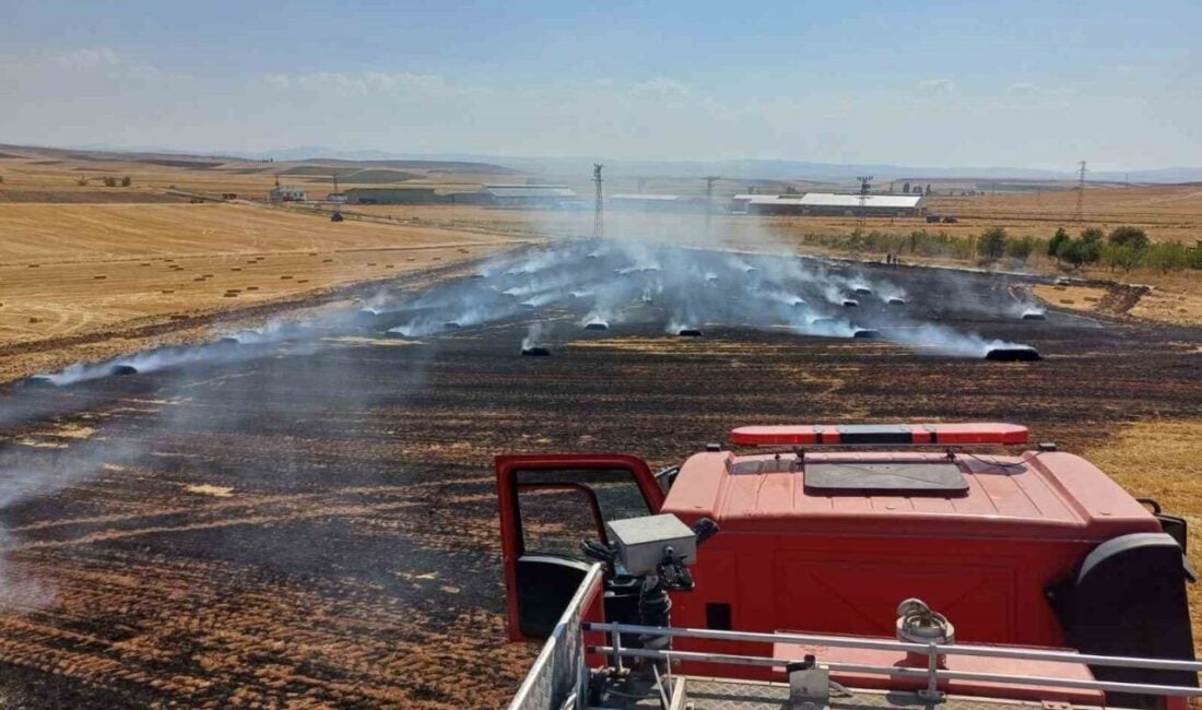 Çorum'un Alaca ilçesi Avutmuş köyünde bir tarlada çıkan yangında 150