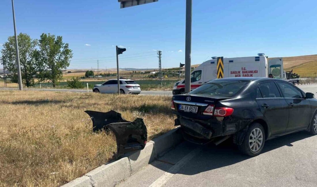 Çorum'un Alaca ilçesinde meydana gelen kazada, Emriye T. yönetimindeki Audi