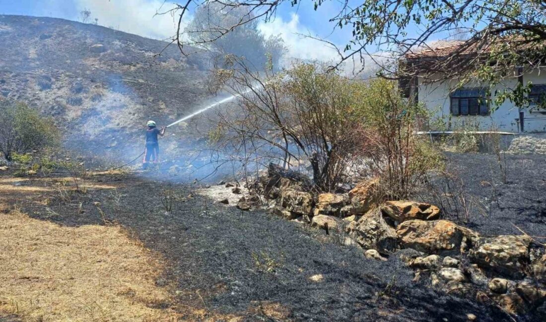 Çorum'un Alaca ilçesindeki Değirmendere köyünde otluk alanda çıkan yangın, rüzgarın