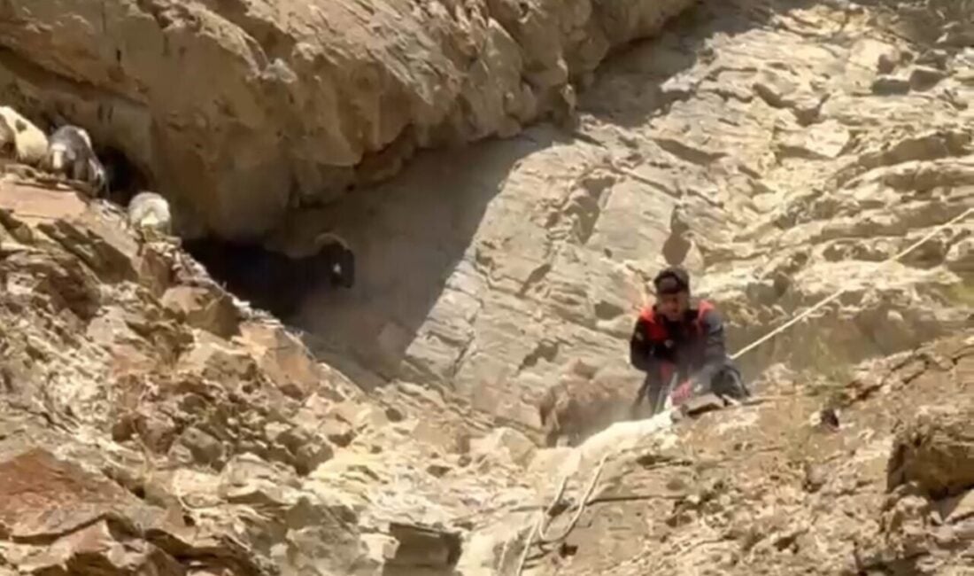 Hakkari’nin Yüksekova ilçesindeki Çobanpınar köyünde 3 gün mahsur kalan 7