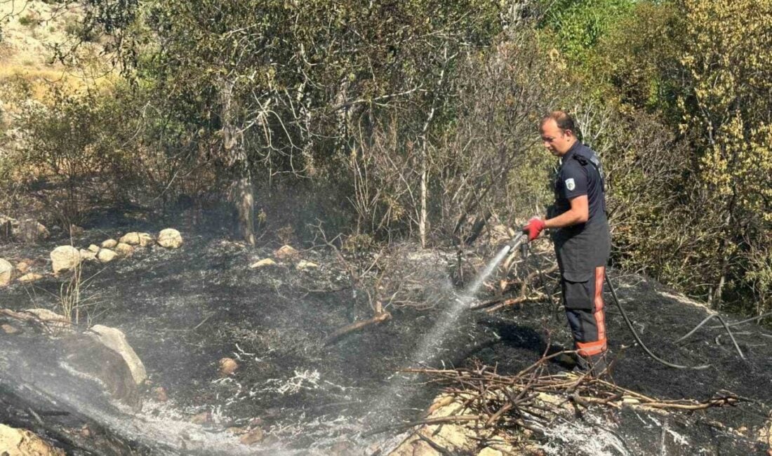 Malatya'nın Darende ilçesinde, Sayfiye Mahallesi'nde çıkan bahçe yangını itfaiye tarafından