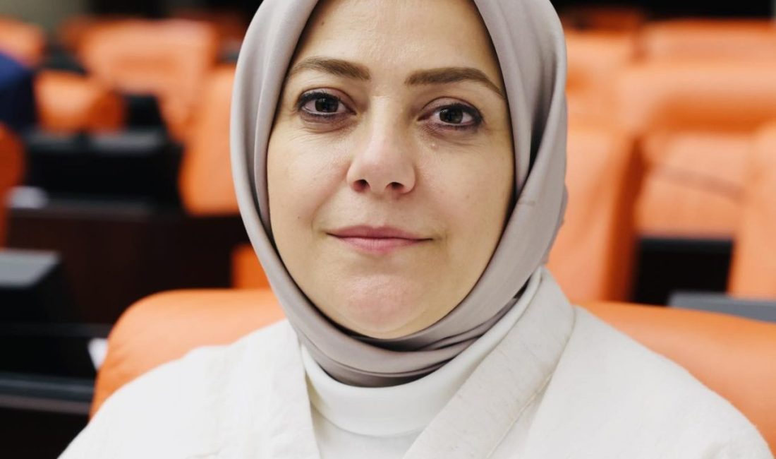 Gelecek Partisi Denizli Milletvekili Sema Silkin Ün, TBMM’deki ishal ve