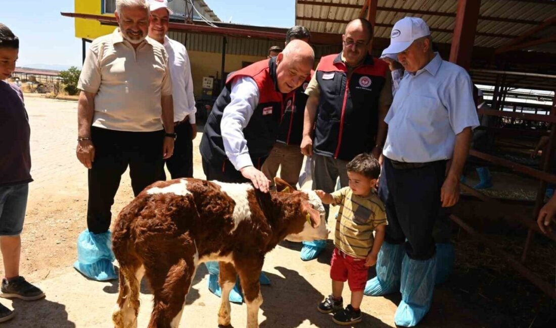 Denizli Valisi Ömer Faruk Coşkun, Acıpayam'da bulunan hastalıktan ari büyükbaş