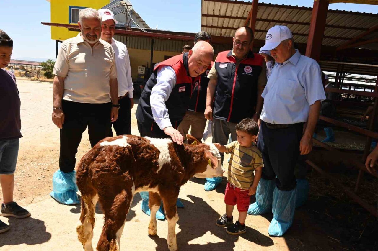 Denizli Valisi Ömer Faruk Coşkun, Acıpayam'da bulunan hastalıktan ari büyükbaş