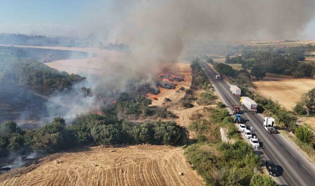 Edirne’nin Lalapaşa ilçesinde başlayan orman yangını, rüzgarın etkisiyle Hamzabeyli Sınır