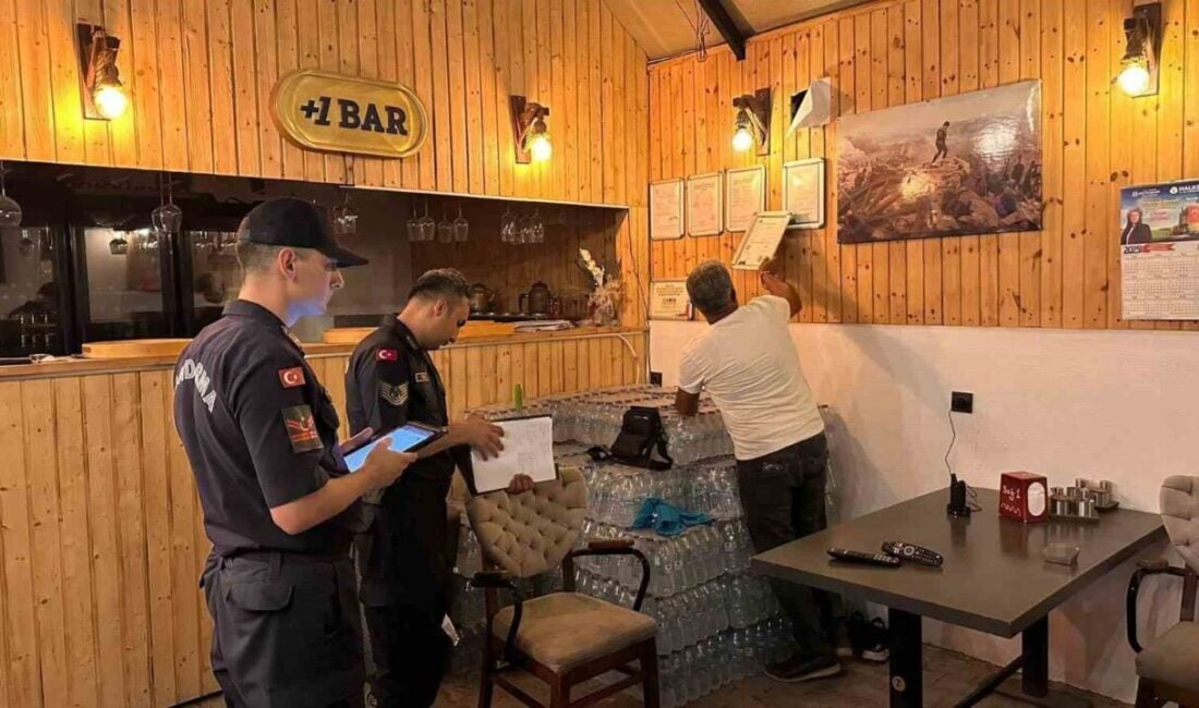 Didim’in Akbük Mahallesi'nde yapılan denetimlerde, jandarma ve zabıta ekipleri toplam