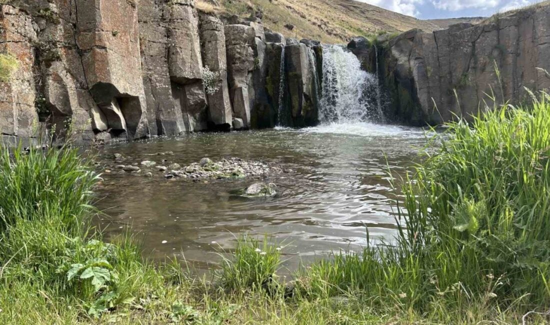 Ağrı'nın Diyadin ilçesindeki Yıldızlı Şelalesi, yaz aylarında doğa severlerin ilgisini