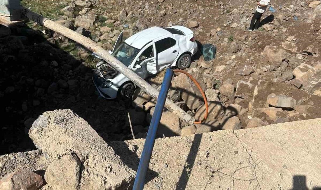 Diyarbakır'ın Çınar ilçesinde sürücü, otomobiliyle Karababa Mahallesi'nde Dilaver Köprüsü'nden düştü.