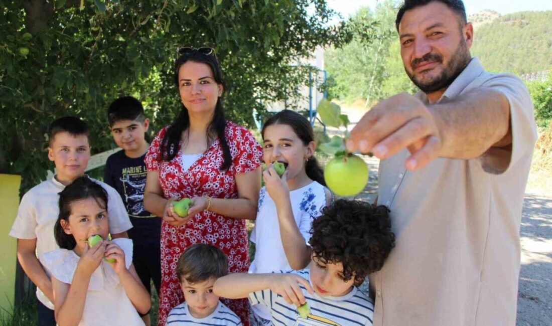 Amasya'da Murat Top'un bahçesindeki elma ağaçları, uygulanan dondan koruma sistemi