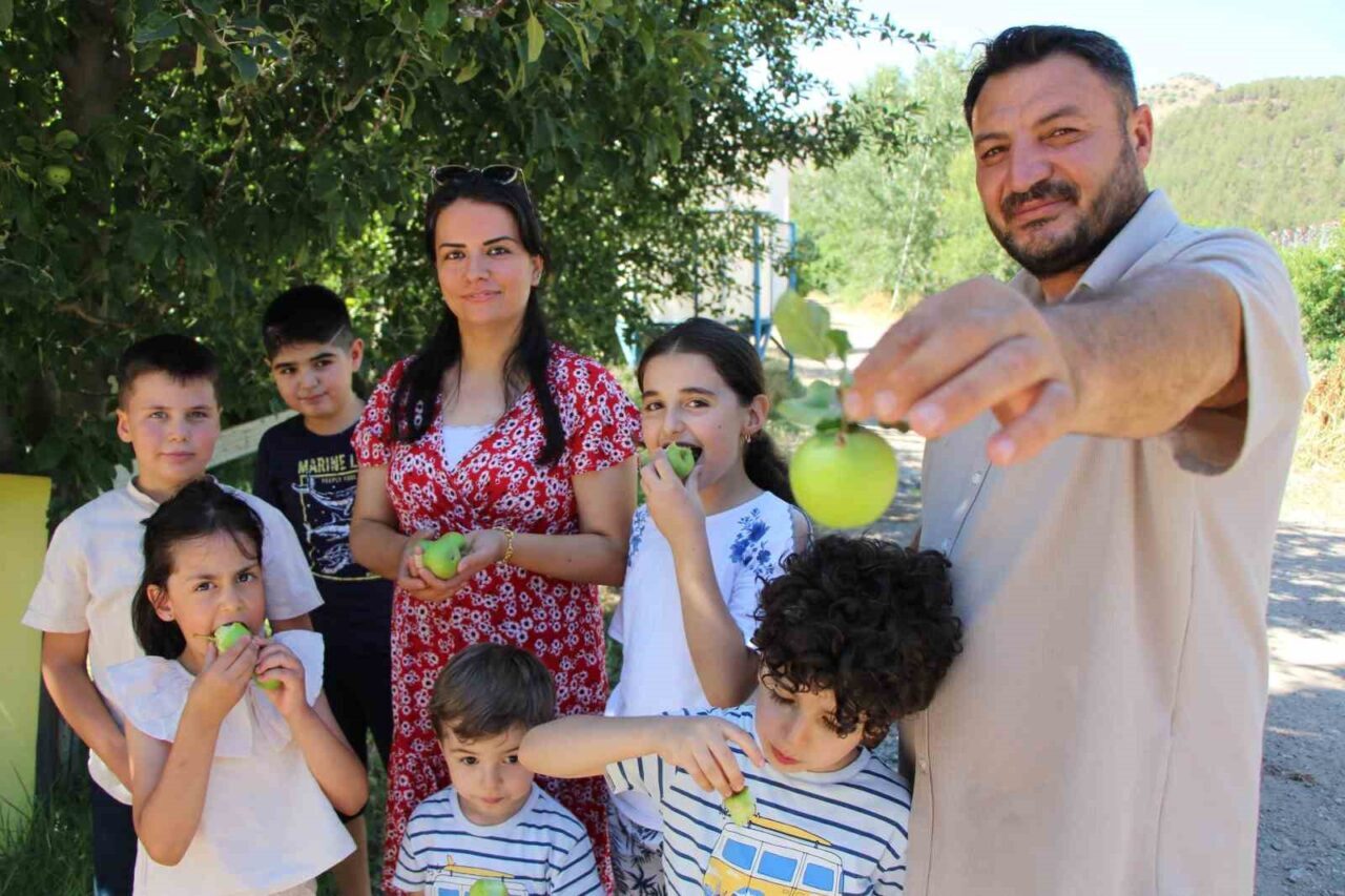 Amasya'da Murat Top'un bahçesindeki elma ağaçları, uygulanan dondan koruma sistemi