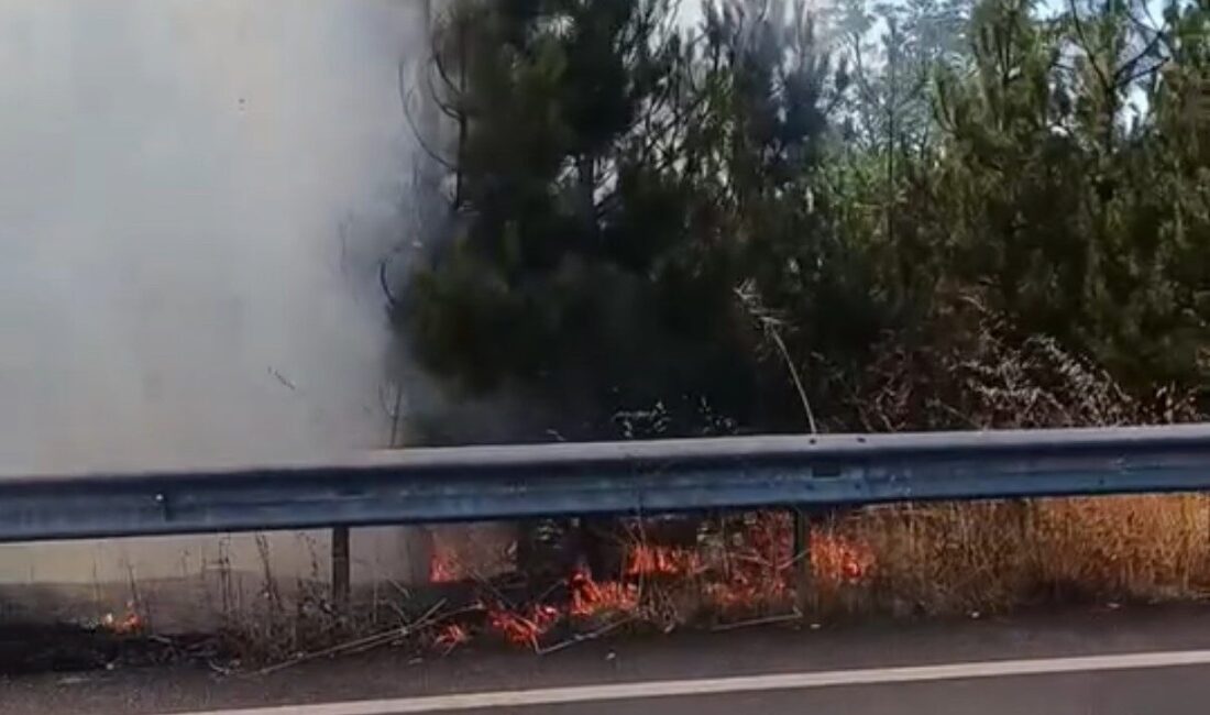 Düzce'de bir düğün konvoyunda yakılan meşaleler, Muncurlu kavşağında yol kenarına