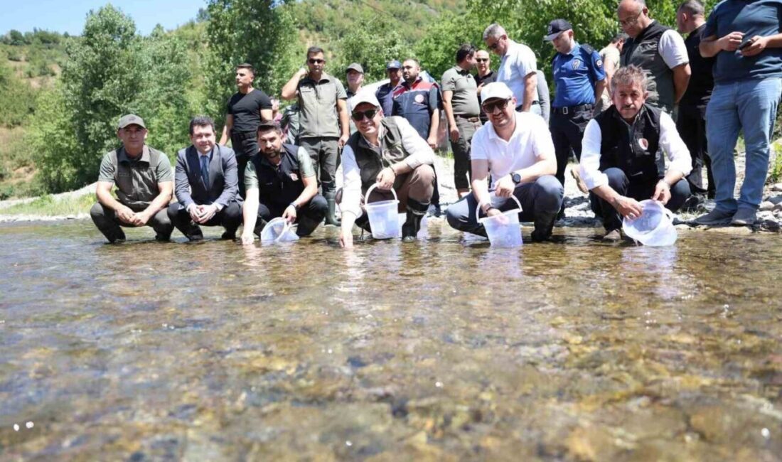 Düzce'nin Yığılca ilçesinde, Doğa Koruma ve Milli Parklar Müdürlüğü tarafından