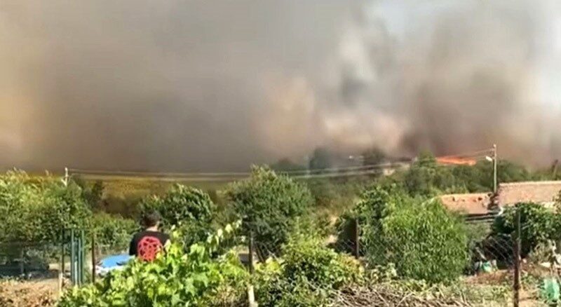 Edirne’nin Meriç ilçesinde Rahmanca köyü yakınlarındaki biçilmemiş buğday tarlasında çıkan