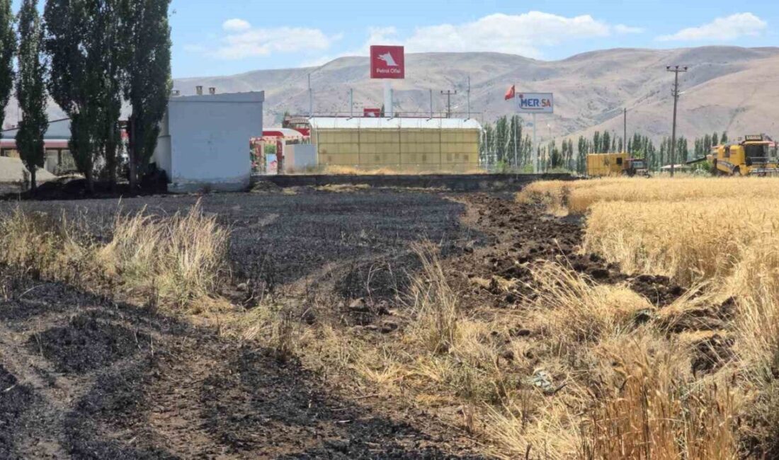 Elazığ’ın Karakoçan ilçesinde bilinmeyen bir nedenden dolayı çıkan yangında yaklaşık