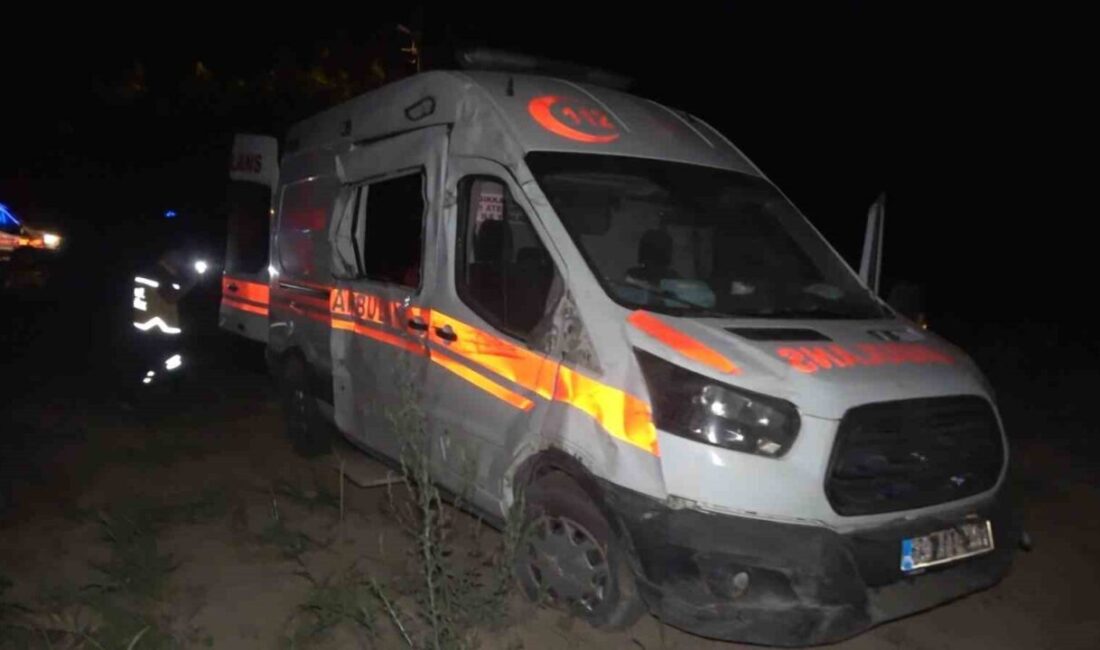 Elazığ-Keban karayolunda, K.M. yönetimindeki ambulans kontrolünü kaybederek şarampole düştü. Olayda,